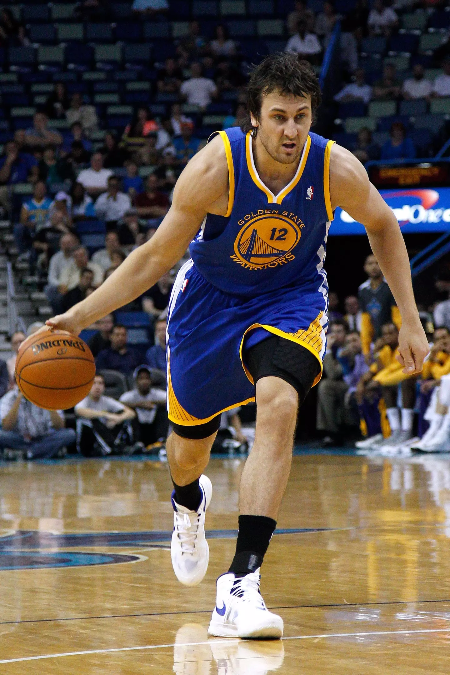 Andrew bogut.