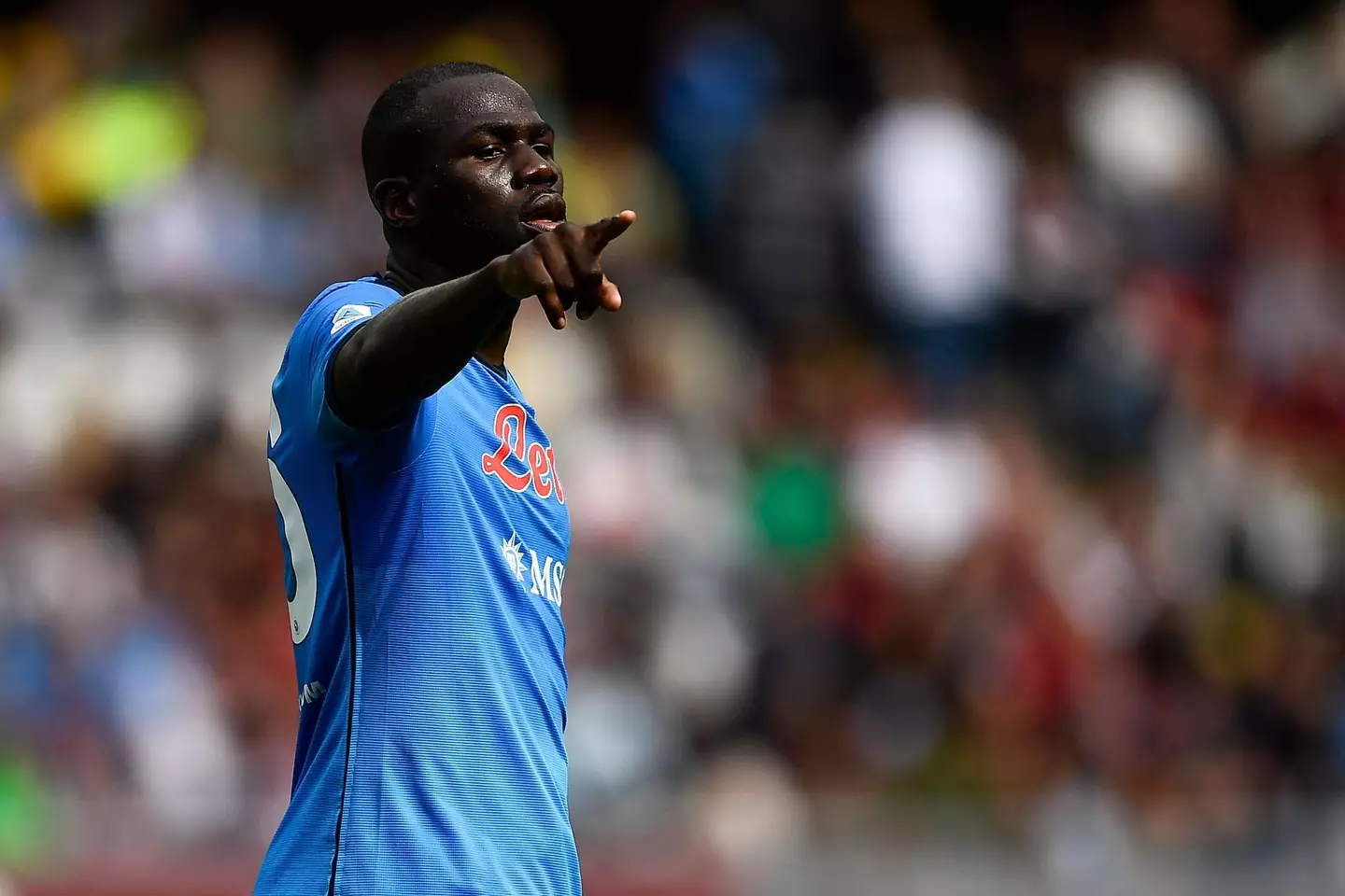 Kalidou Koulibaly could be wearing Chelsea blue next season. (Alamy)