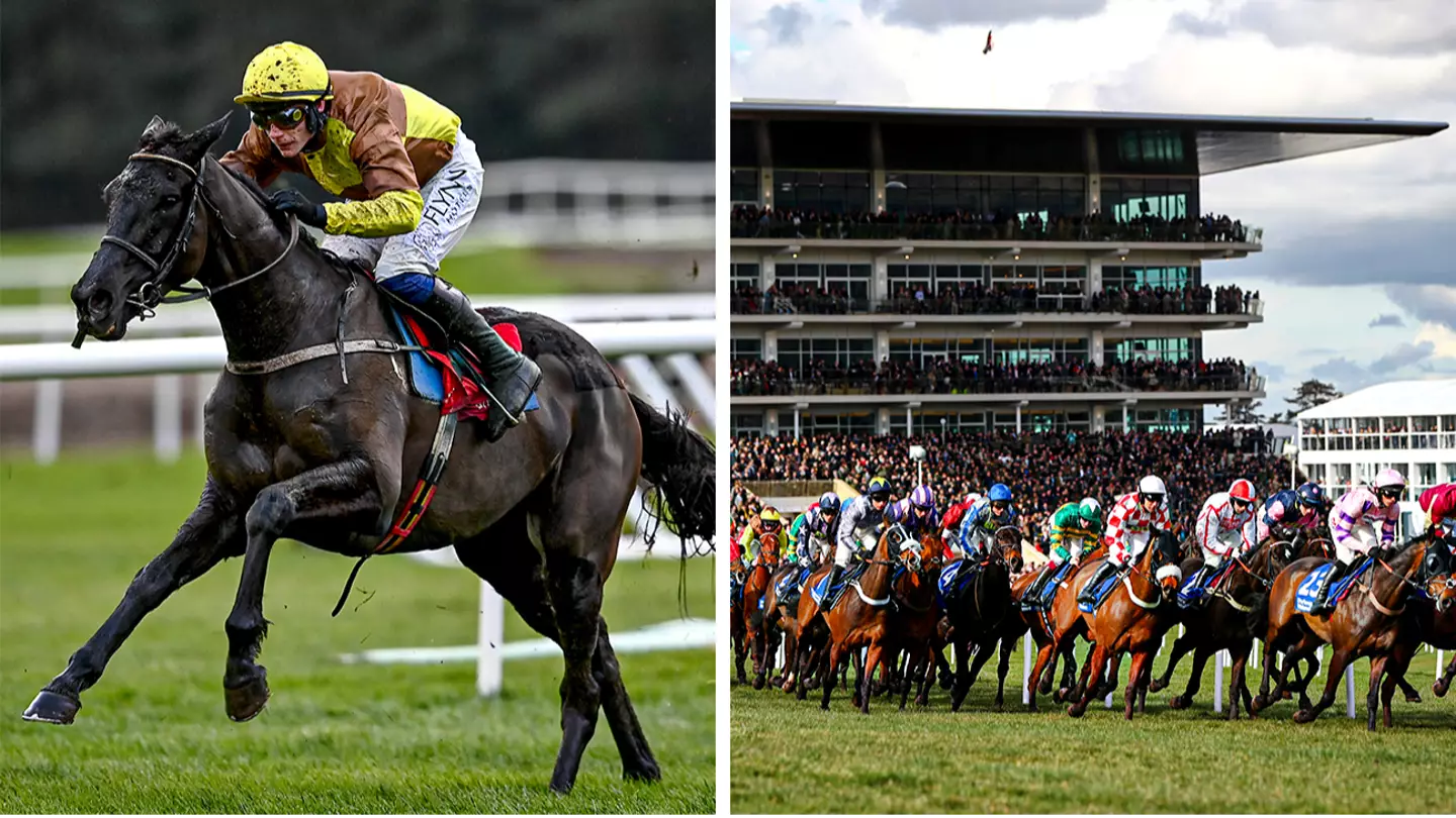 Get ready to roar for the Cheltenham Festival: Here’s everything you need to know
