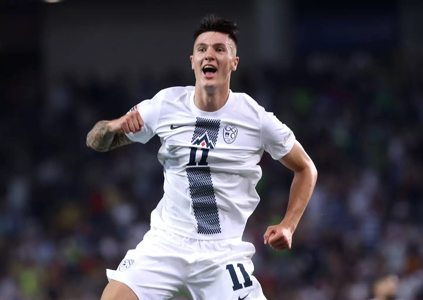 Slovenia's Benjamin Sesko celebrates scoring their second goal. (Alamy)