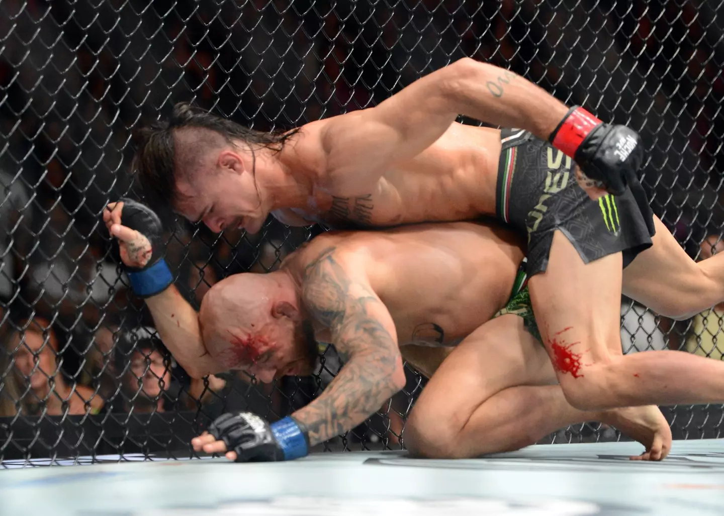 Diego Lopes stopped Jean Silva in the second round. Image: Getty