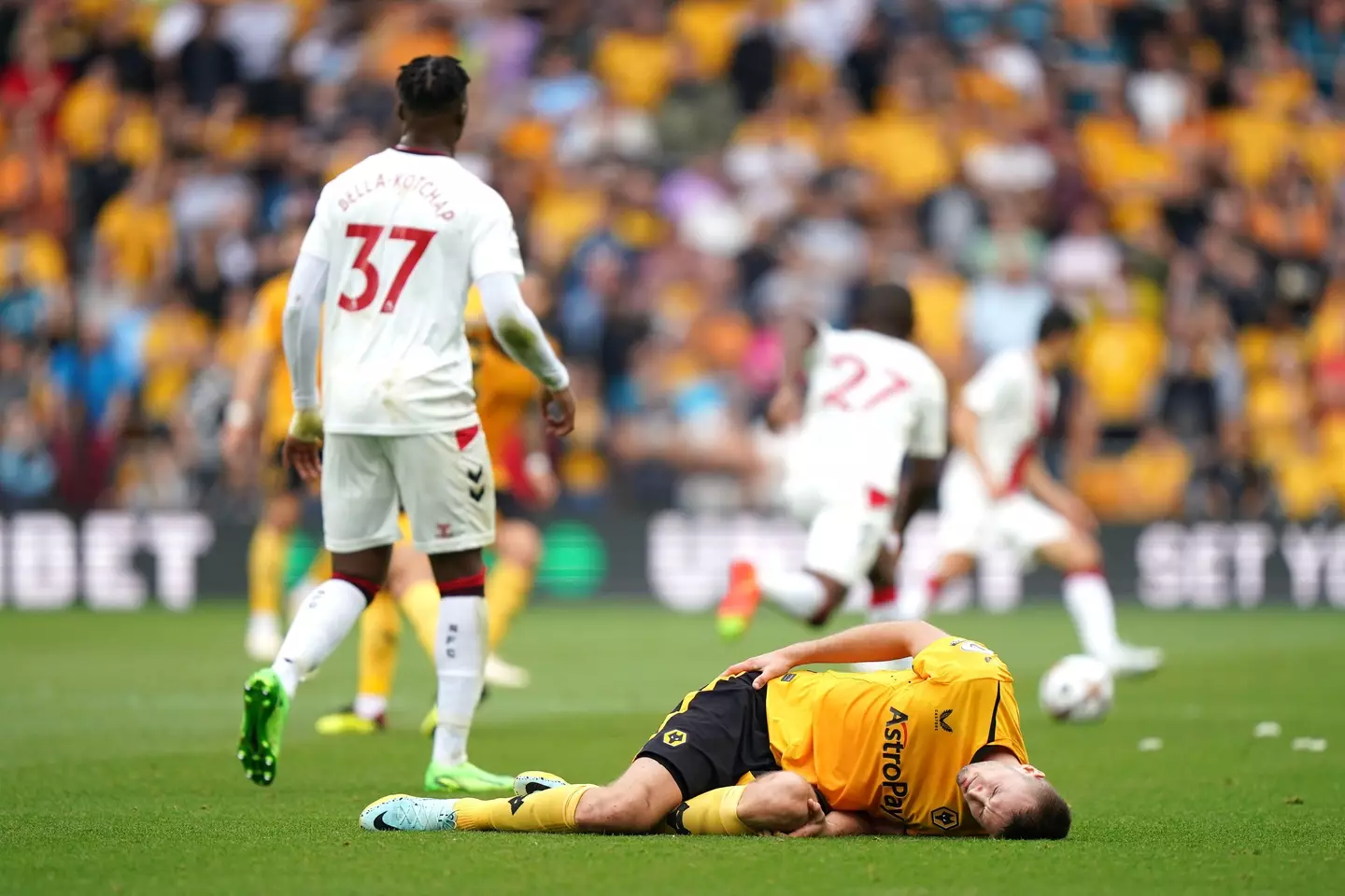 Kalajdzic suffered an ACL injury on his debut. (Image