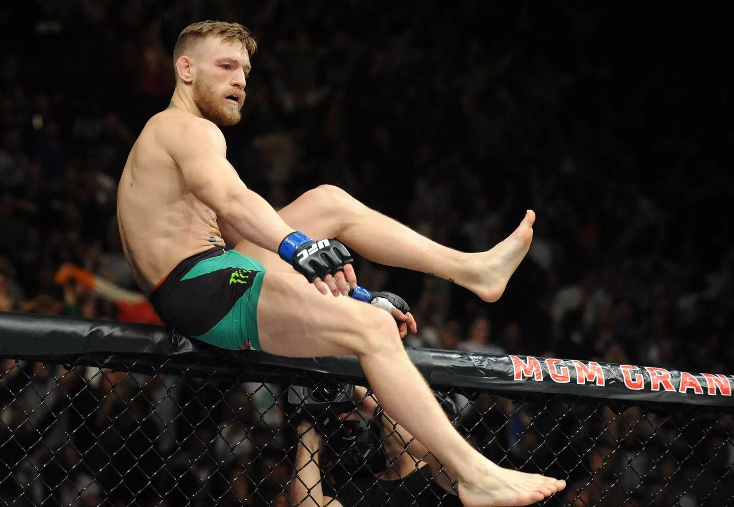 Conor McGregor celebrates after beating Jose Aldo at UFC 194. Image: Alamy 