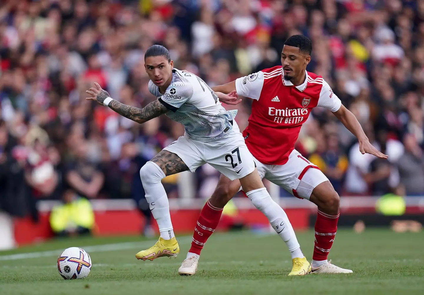 Nunez moved to Liverpool in the summer. (Image