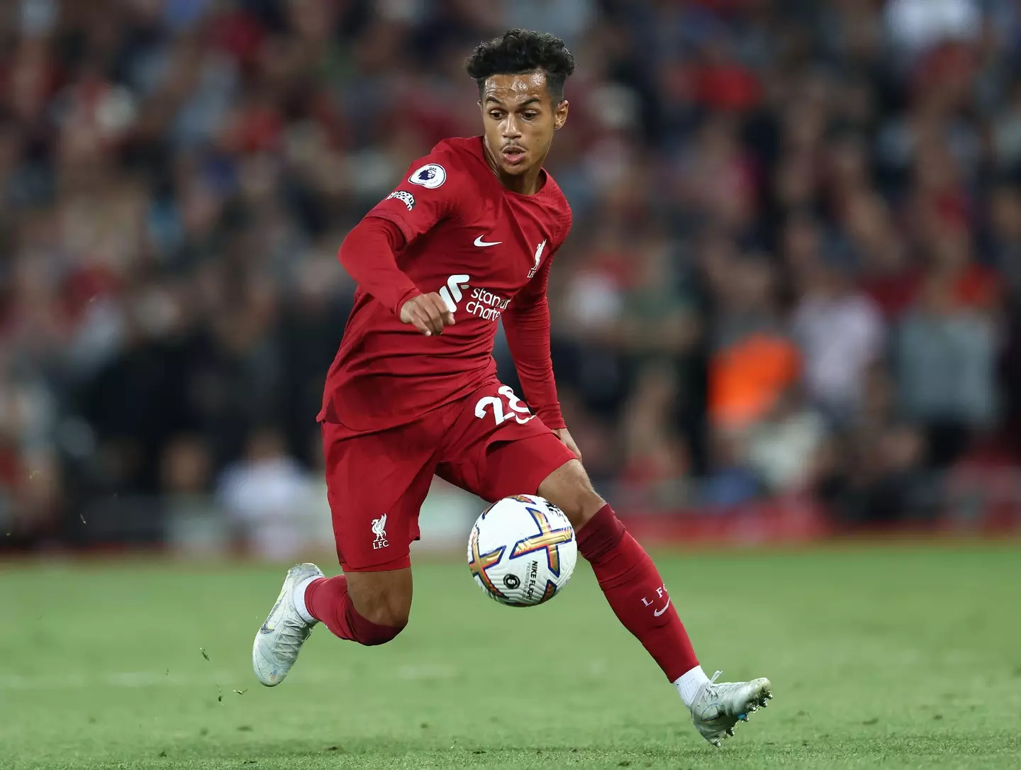 Fabio Carvalho in action for Liverpool (