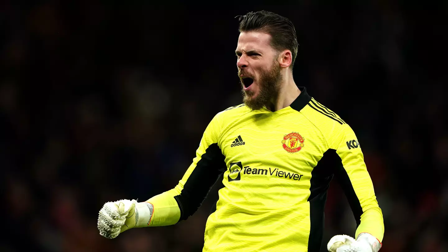 David de Gea celebrates for Manchester United. (Alamy)