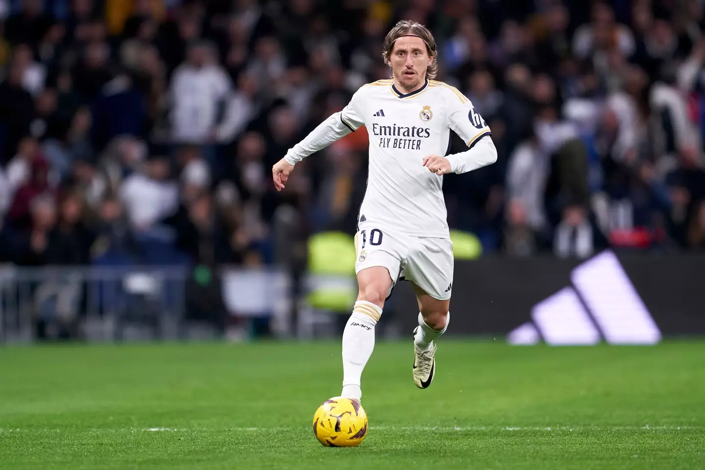 Modric is among the greatest ever Real Madrid players (Getty)