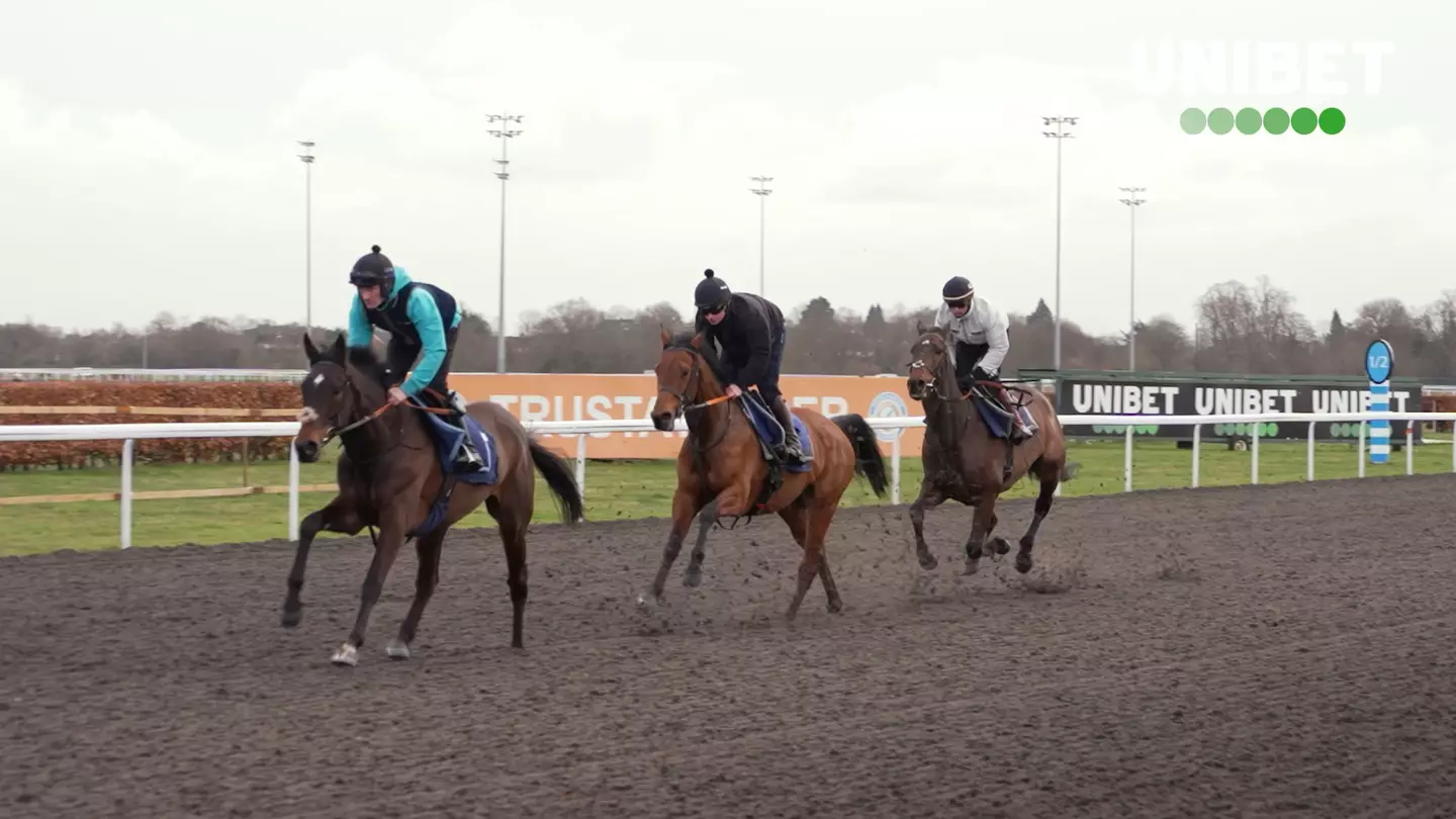 Cheltenham Preview with UNIBET ambassadors Nico De Boinville and Nicky Henderson