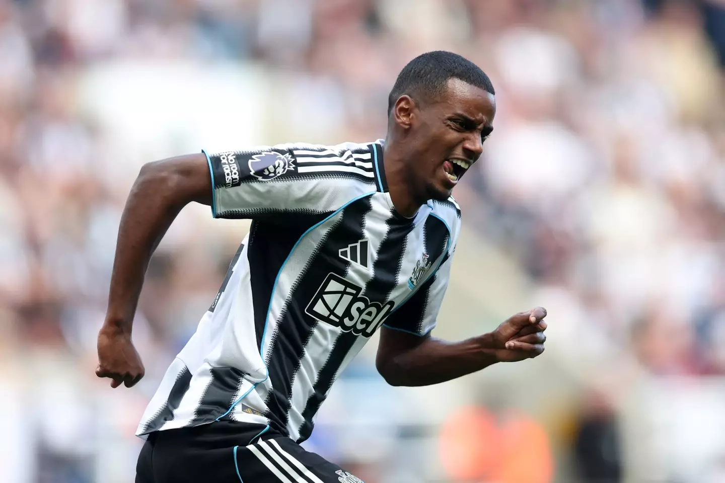 Alexander Isak is Liverpool's top target. (Image: George Wood / Stringer via Getty)