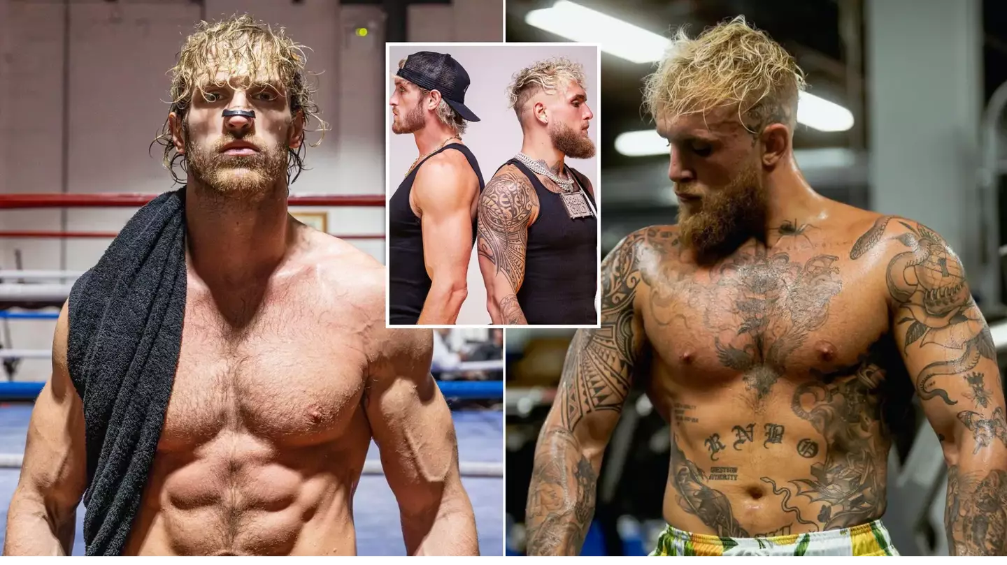 Logan Paul asked if he'd fight his brother Jake ahead of Dillon Danis fight