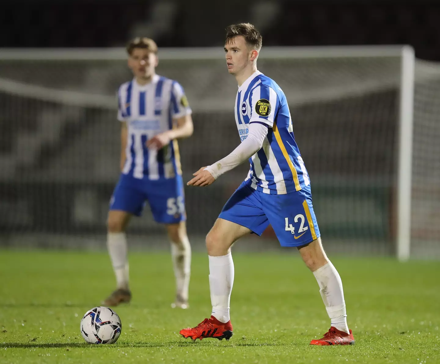 Marc Leonard in action for Brighton. Image: Getty