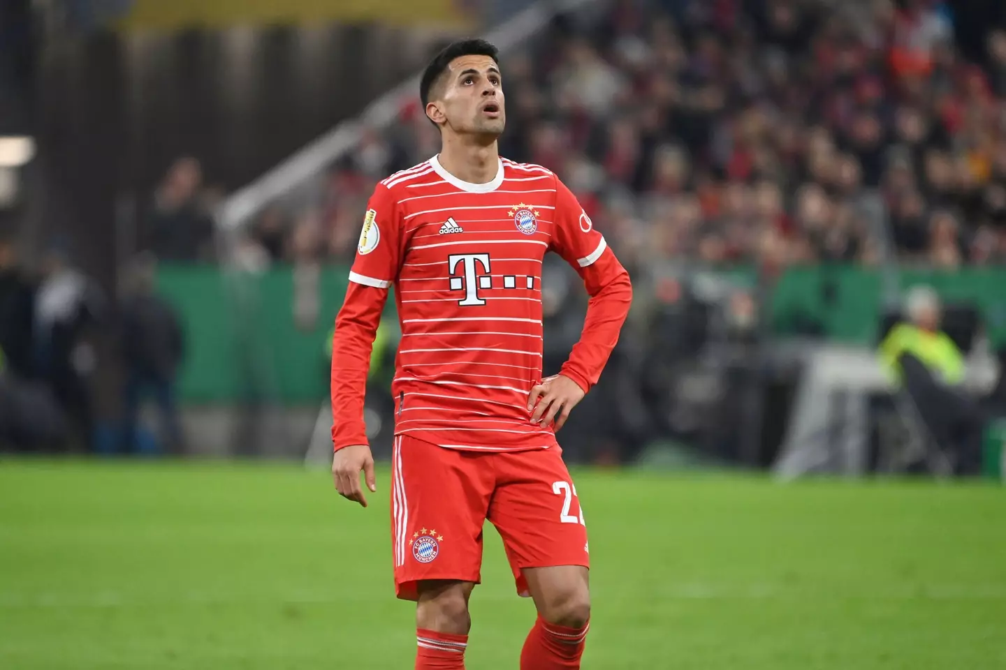 Cancelo's time at Bayern is not going according to plan. Image: Alamy