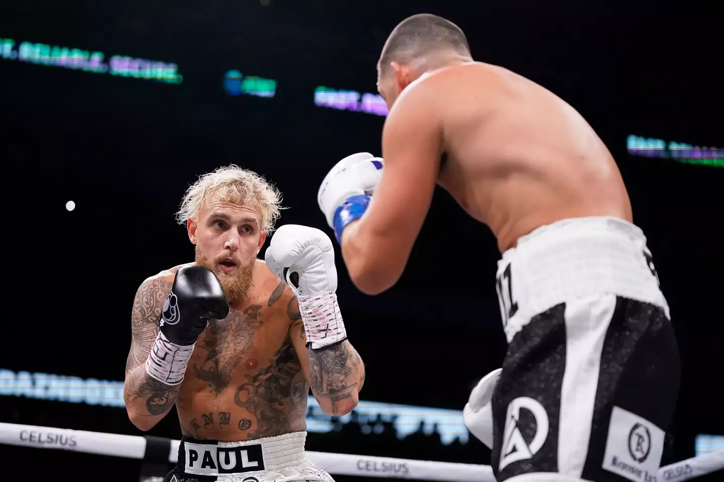 Jake Paul in action against Nate Diaz. Image: Getty 