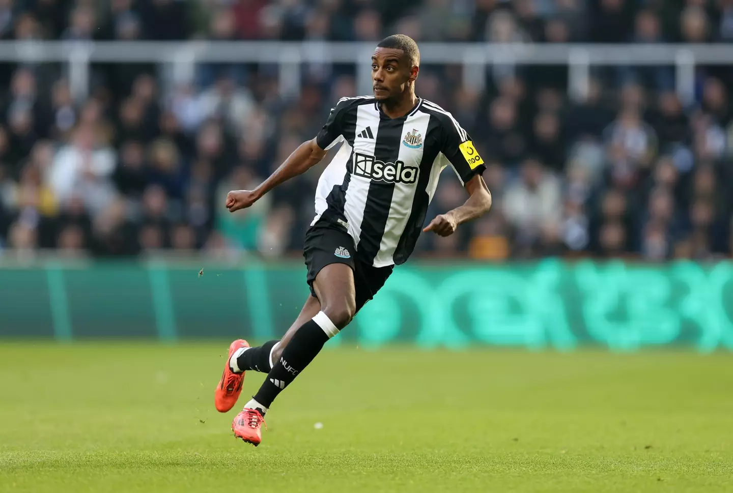 Alexander Isak has had a stellar season so far. Image: Getty