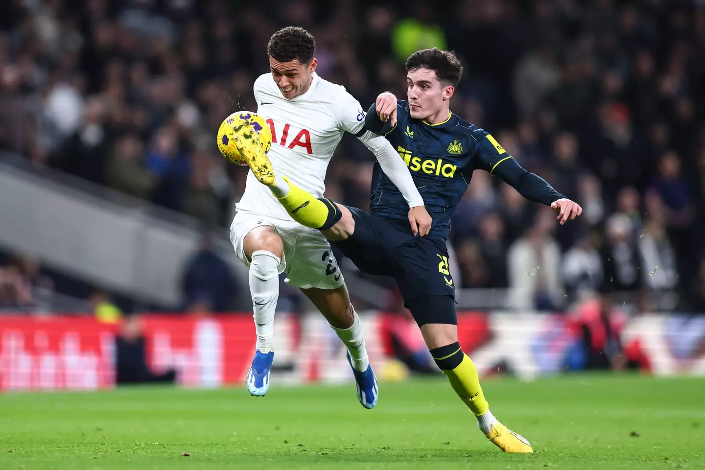 Brennan Johnson vs Newcastle