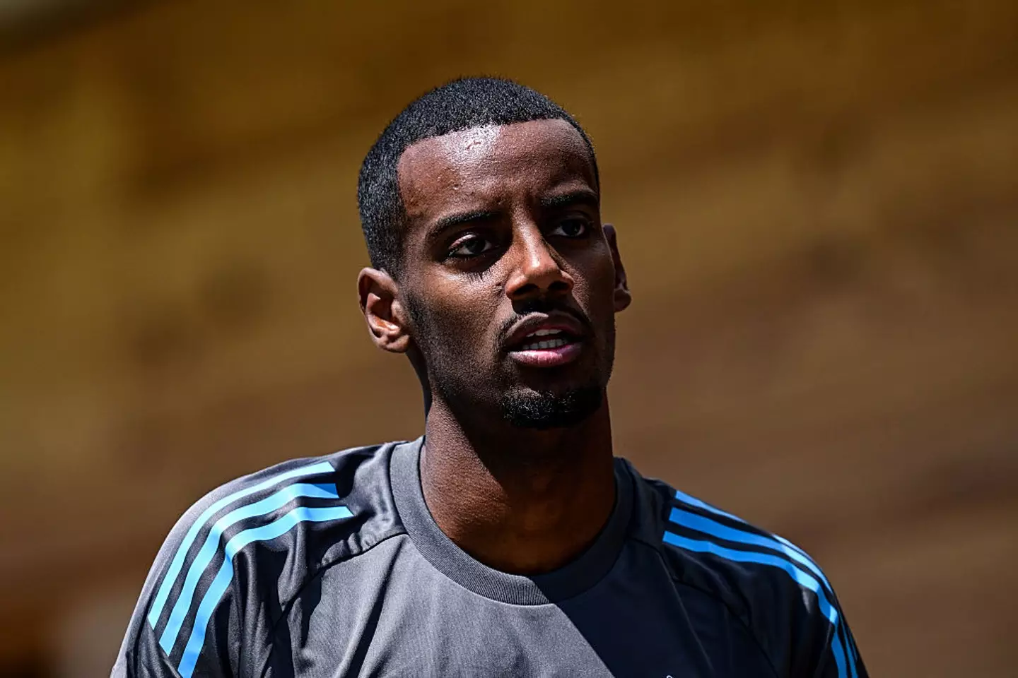 Alexander Isak has been linked with a Newcastle exit (Credit:Getty)