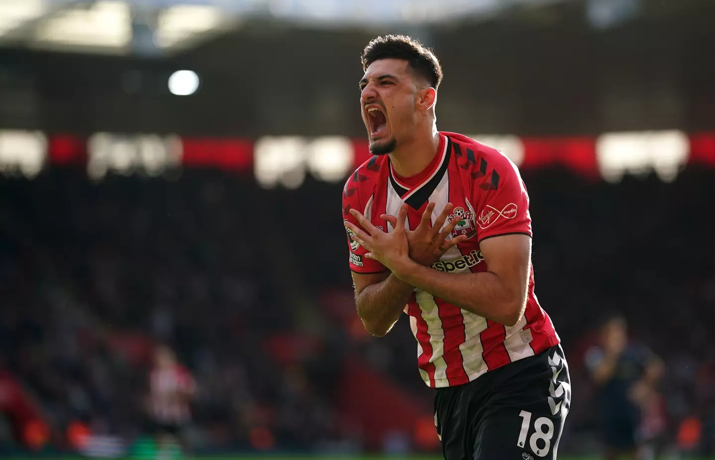 Armando Broja celebrating for Southampton after scoring. (Alamy)