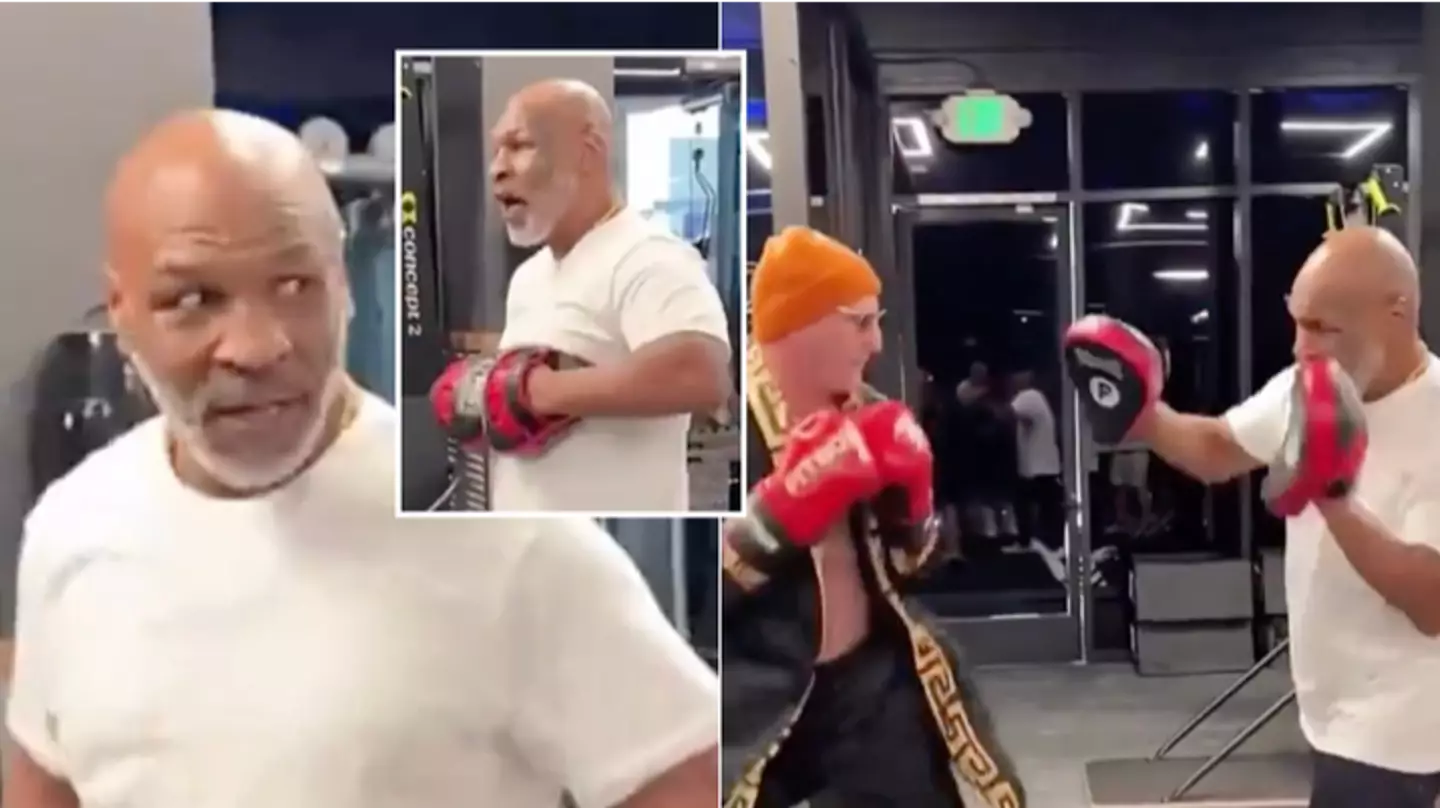 Mike Tyson loses his cool after a fan accidentally punches him in the face during a sparring session