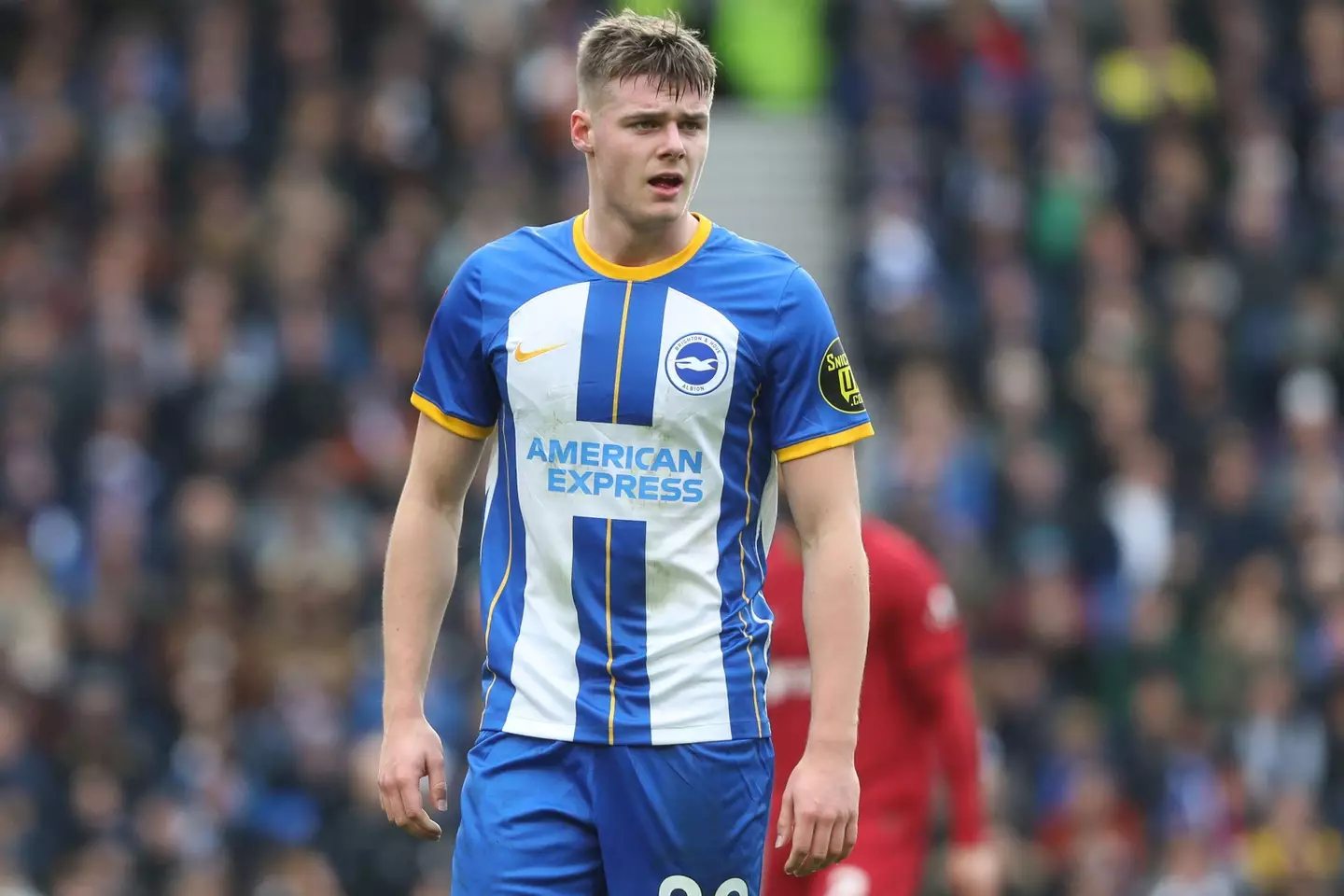 Evan Ferguson netted the only goal of the game for Brighton (Alamy)