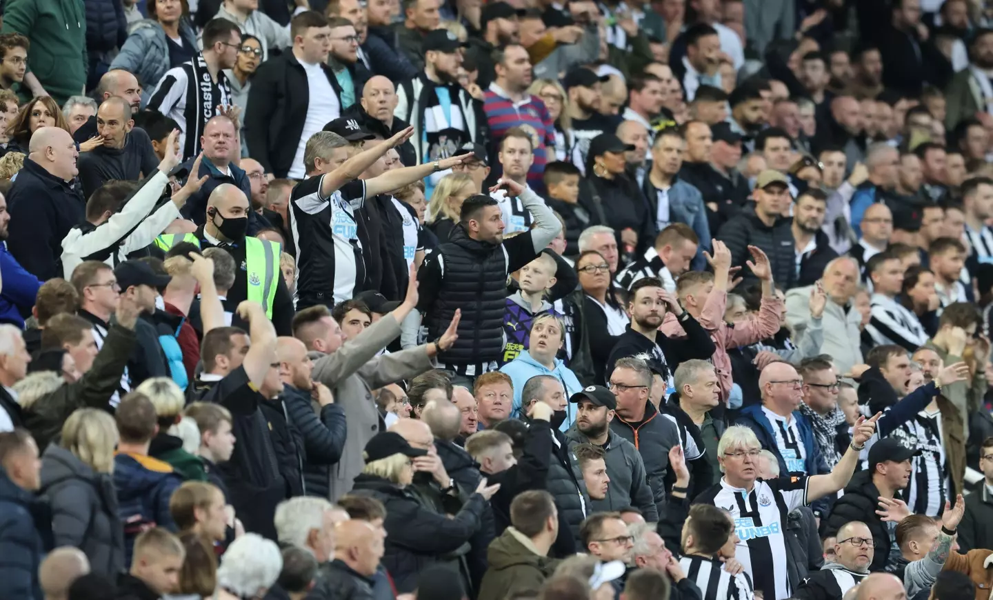Newcastle fans gesture to the referee after a fan collapses at St James' Park (Image: Alamy)