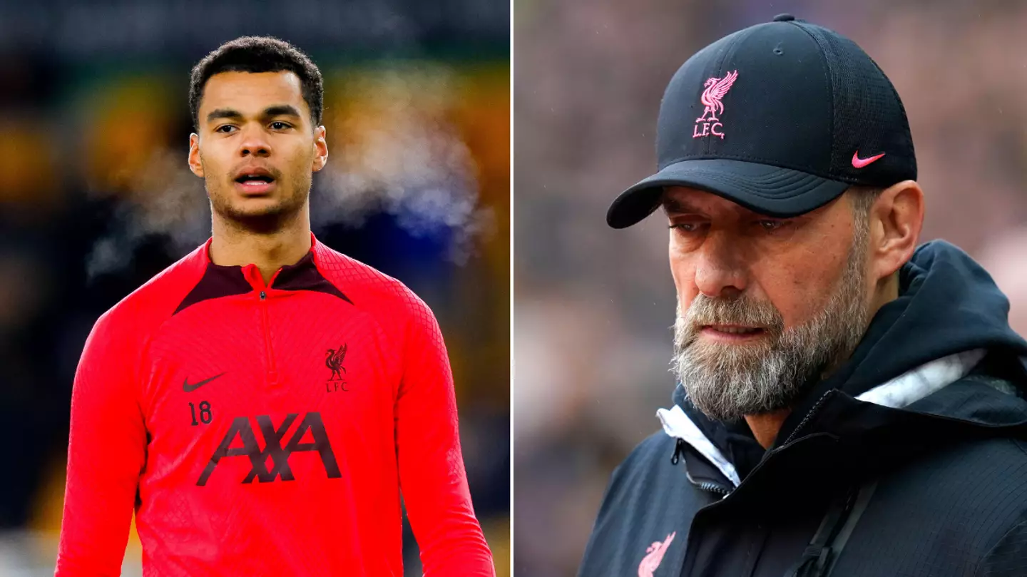 "The better option..." - Former Liverpool defender names the player Klopp should have signed instead of Gakpo