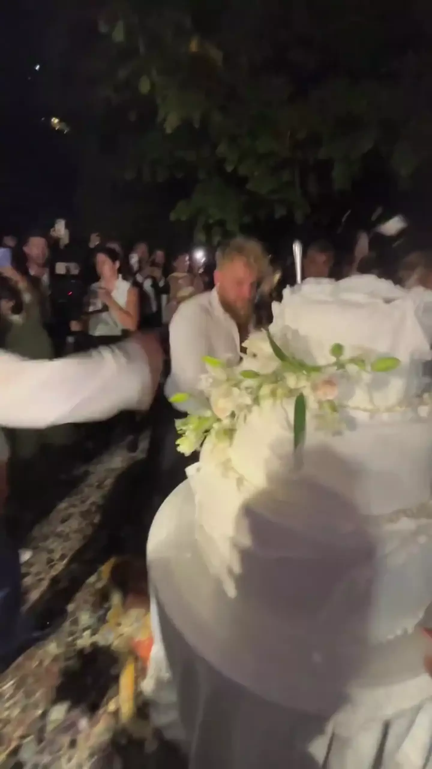 Jake Paul punched his brother's wedding cake. Image: Instagram/@JakePaul