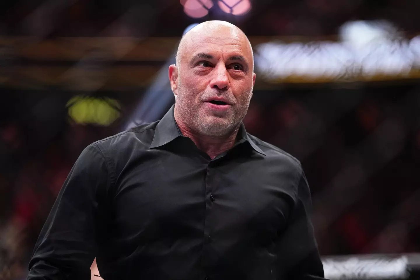 Joe Rogan once recalled the moment he thought he'd killed someone in ...