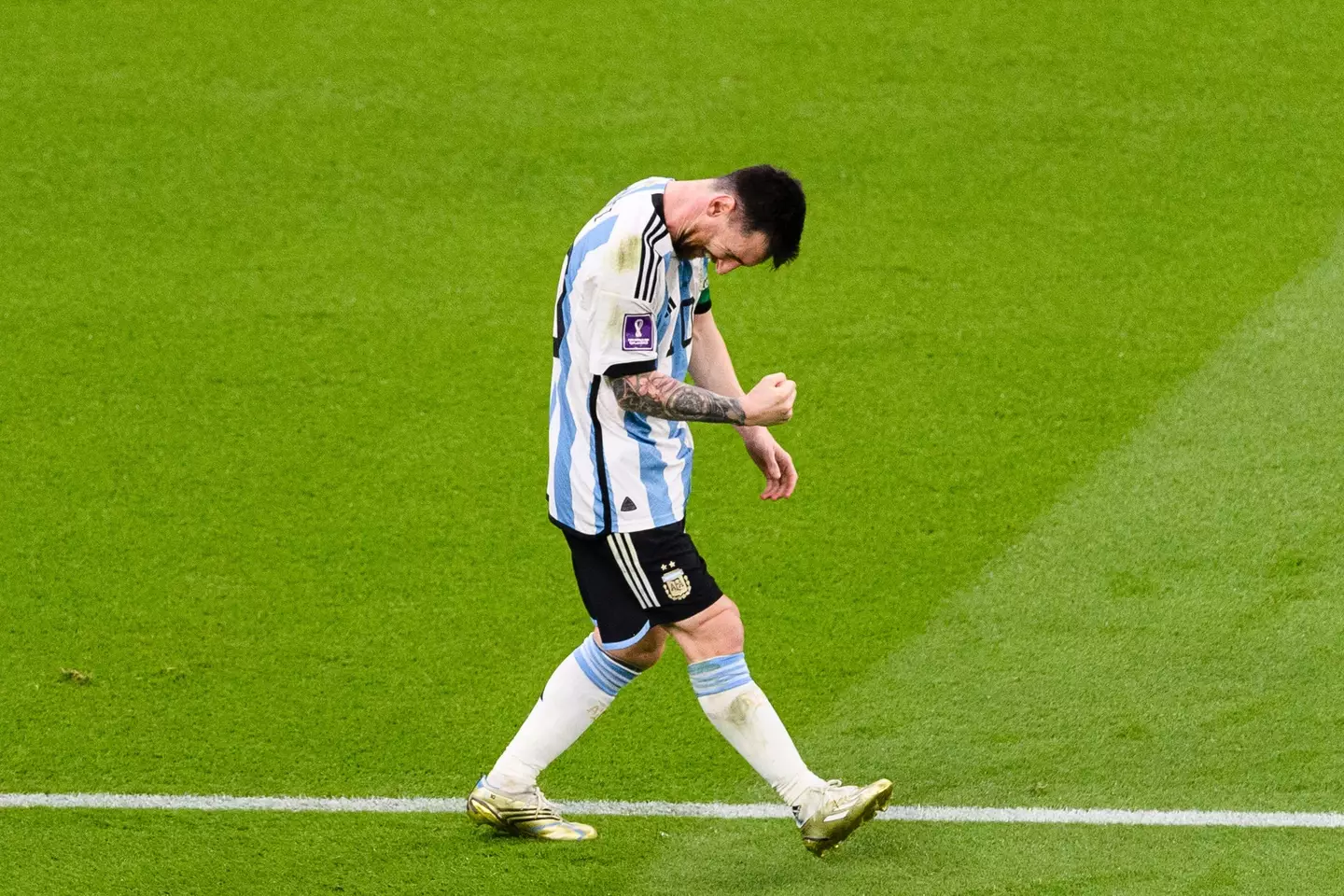 Lionel Messi celebrates after scoring for Argentina against Mexico. Image: Alamy