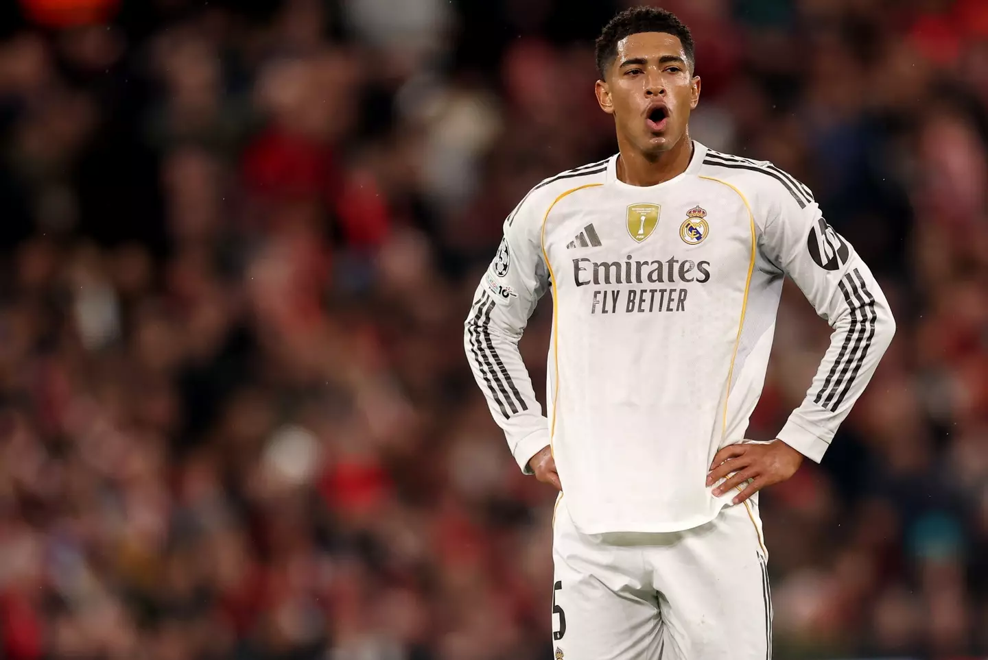 Bellingham has returned to fitness and form for Real. Image: Getty