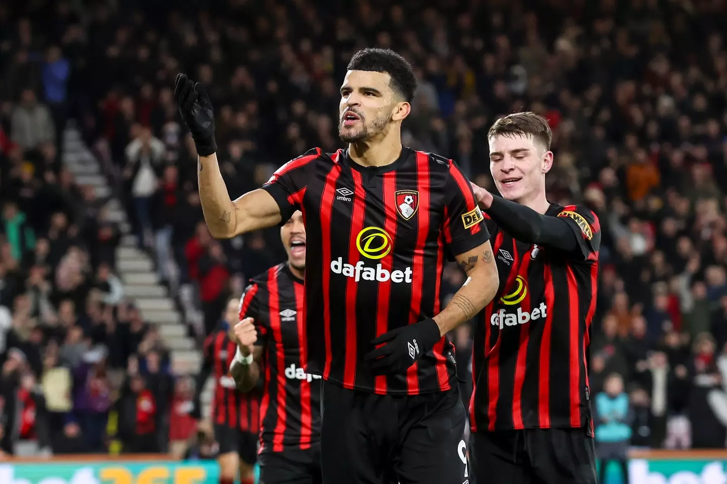 Solanke celebrating for Bournemouth- Getty