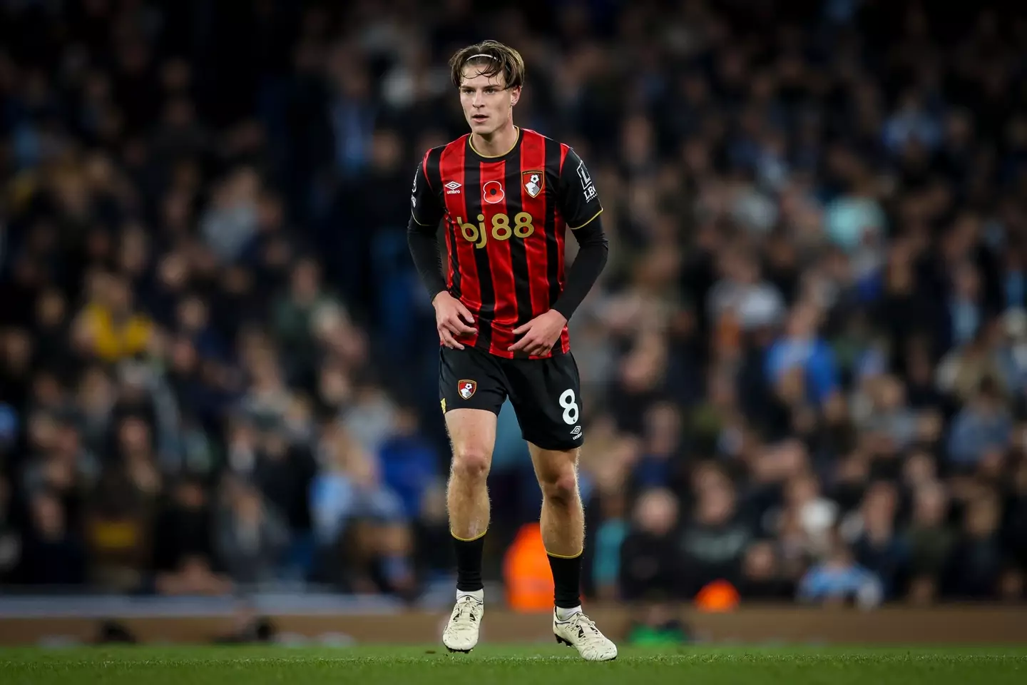 Alex Scott has been rewarded by Thomas Tuchel. Image: Getty