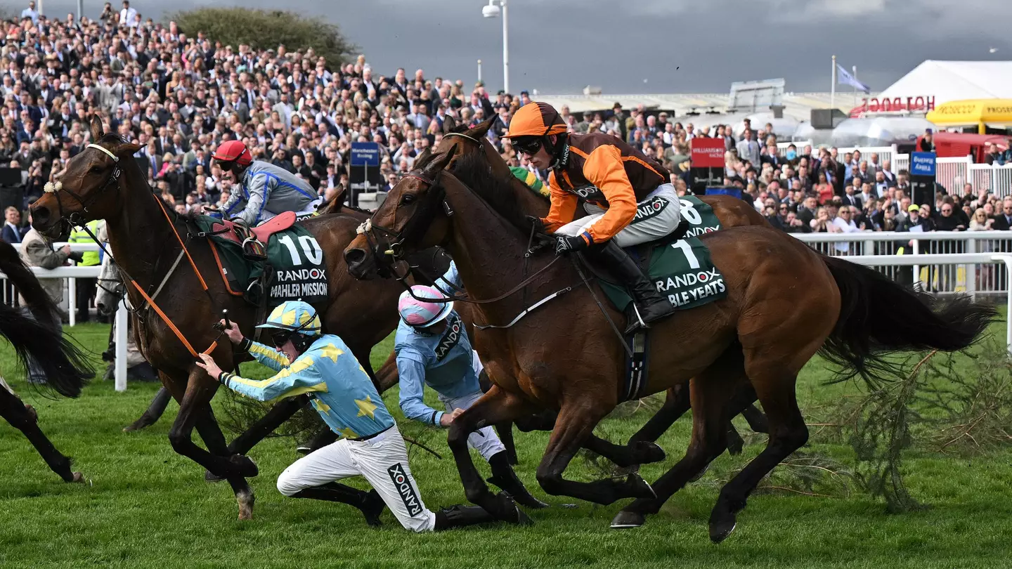 Grand National runner banned from Aintree despite seeing 'horse therapist'