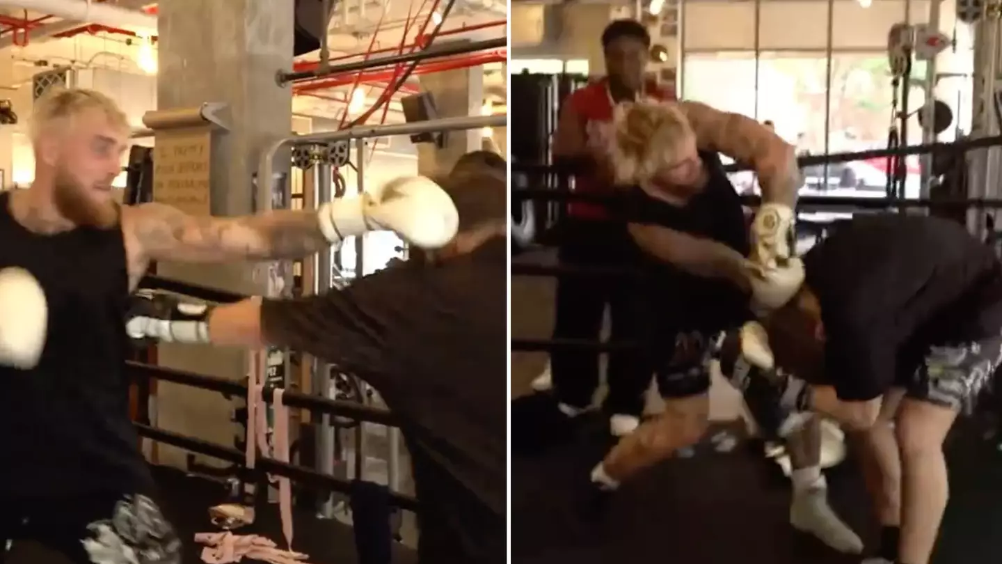 Controversial Twitch streamer turns up at Jake Paul's gym and gets knocked out