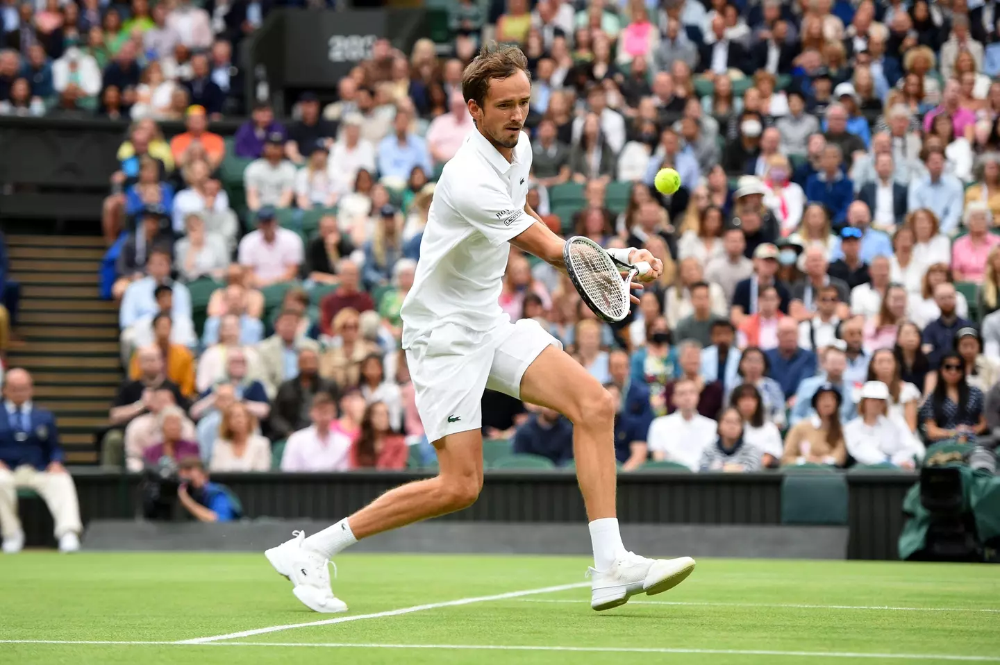 Medvedev playing at Wimbledon last year. Image: PA Images