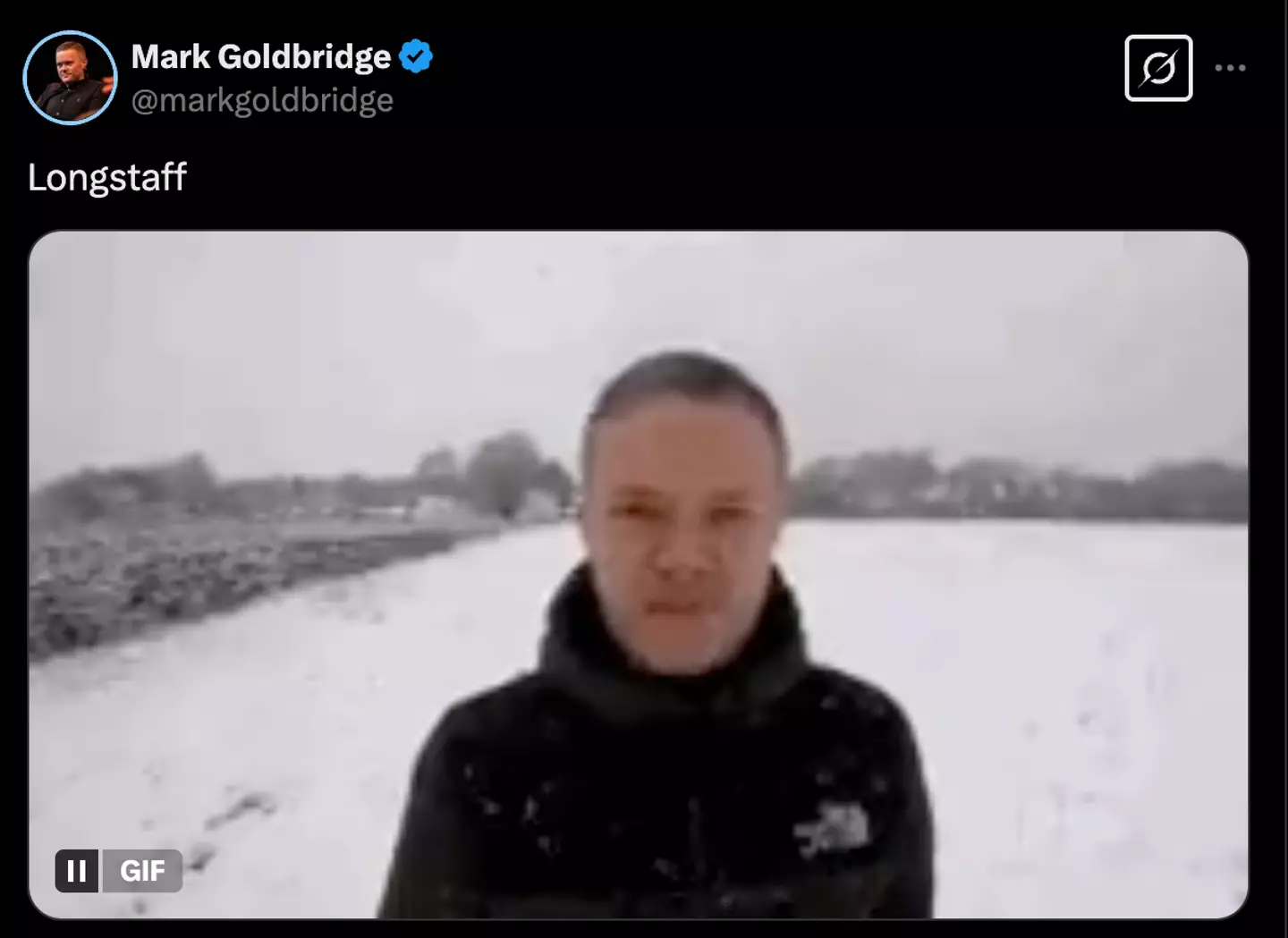 Image: Twitter/Mark Goldbridge