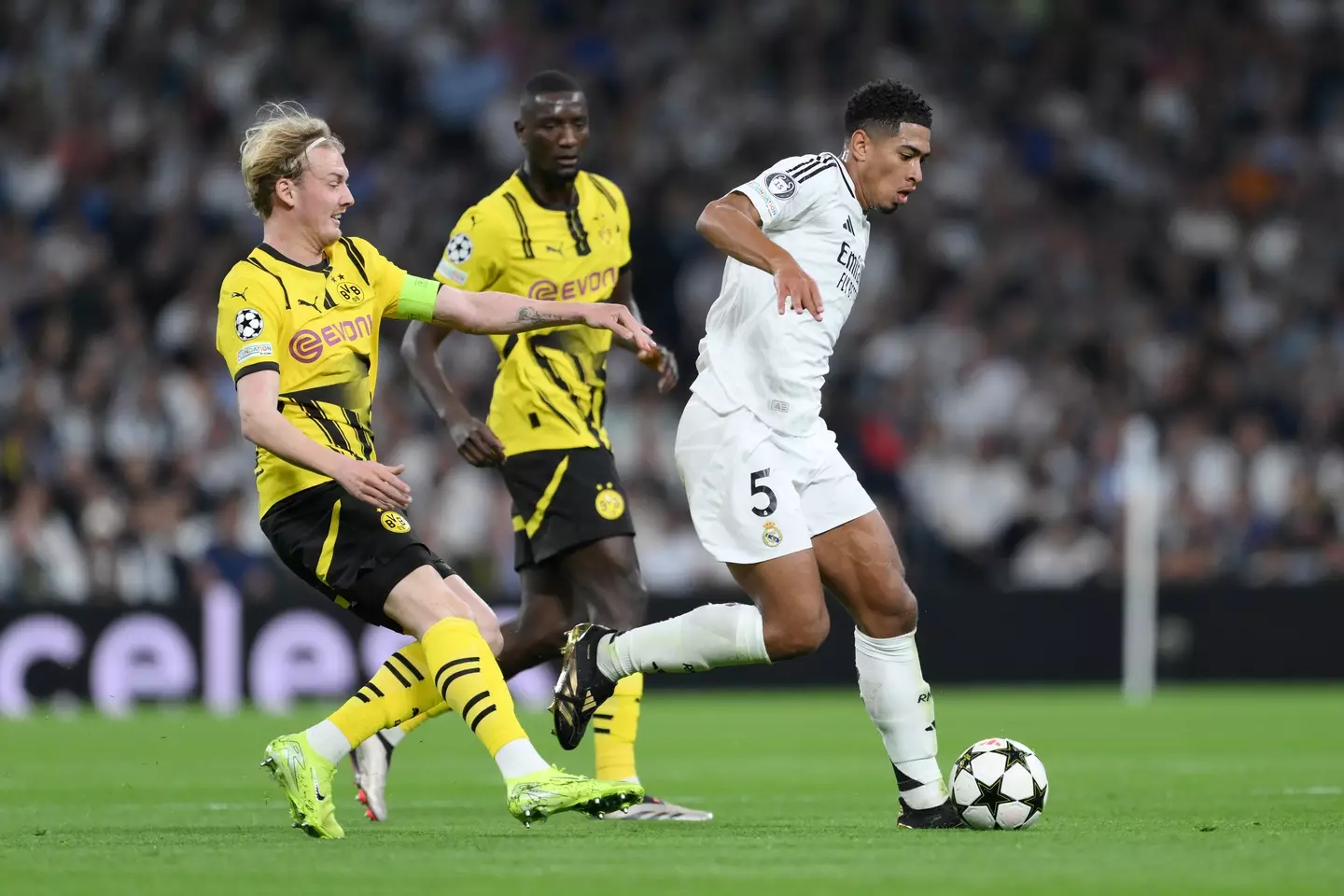 Jude Bellingham has faced Borussia Dortmund for Real Madrid.