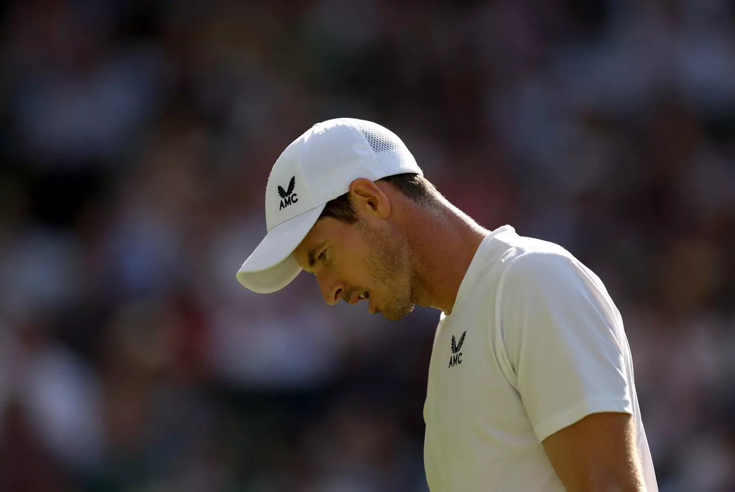 Andy Murray put his heart into the match but was ultimately unsuccessful. (
