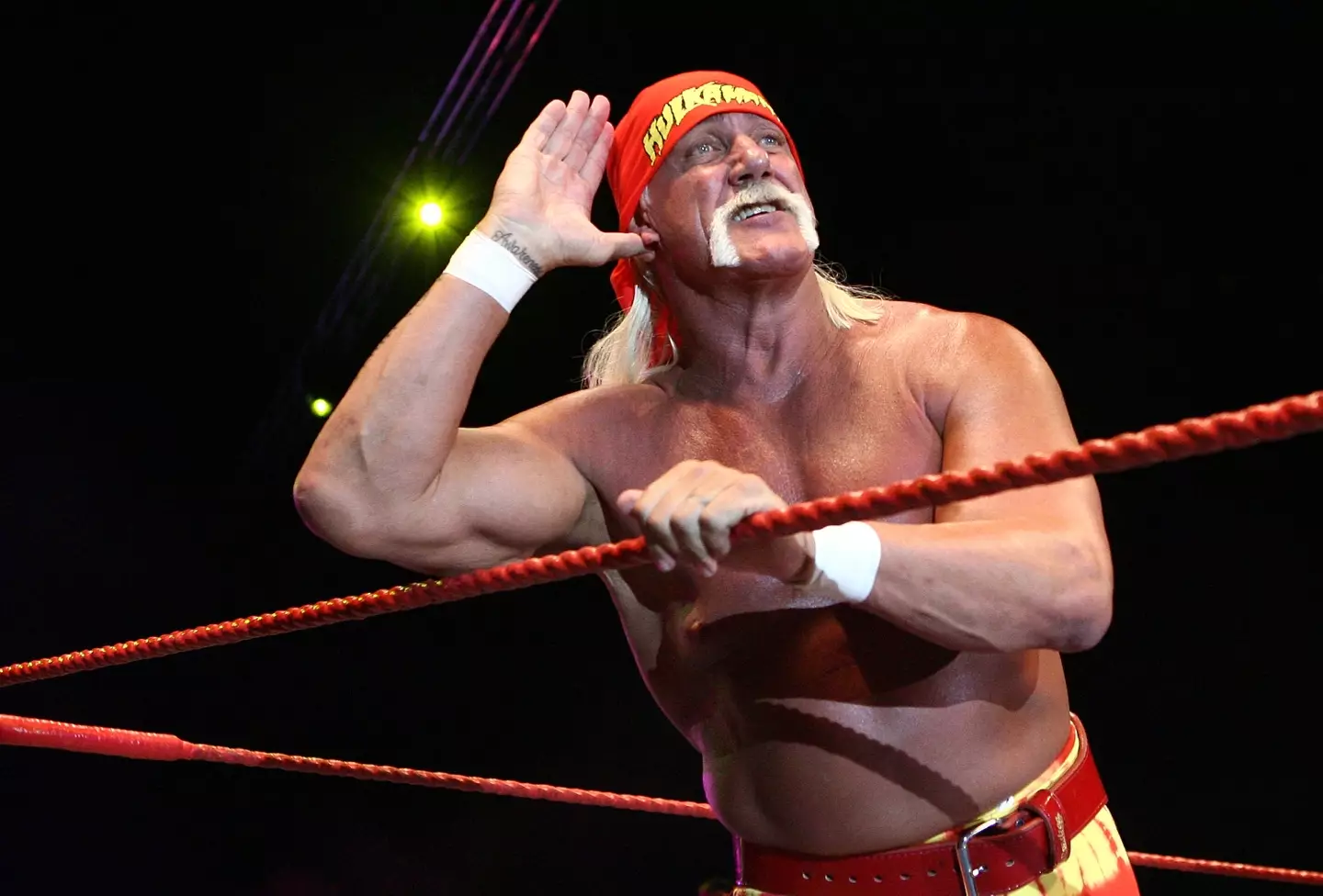 Hulk Hogan in 2009 (credit: getty)