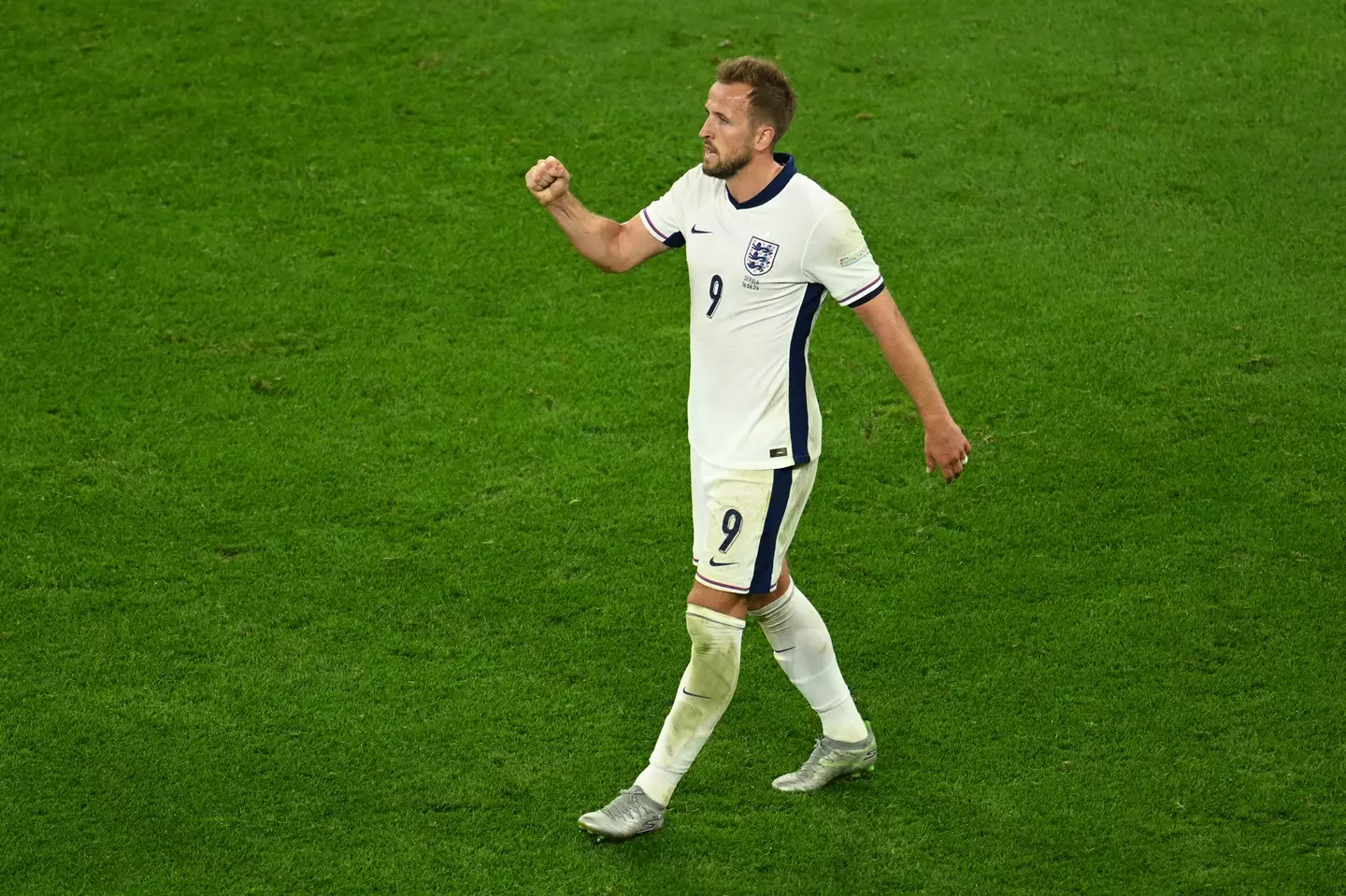 Harry Kane in action for England. Image: Getty