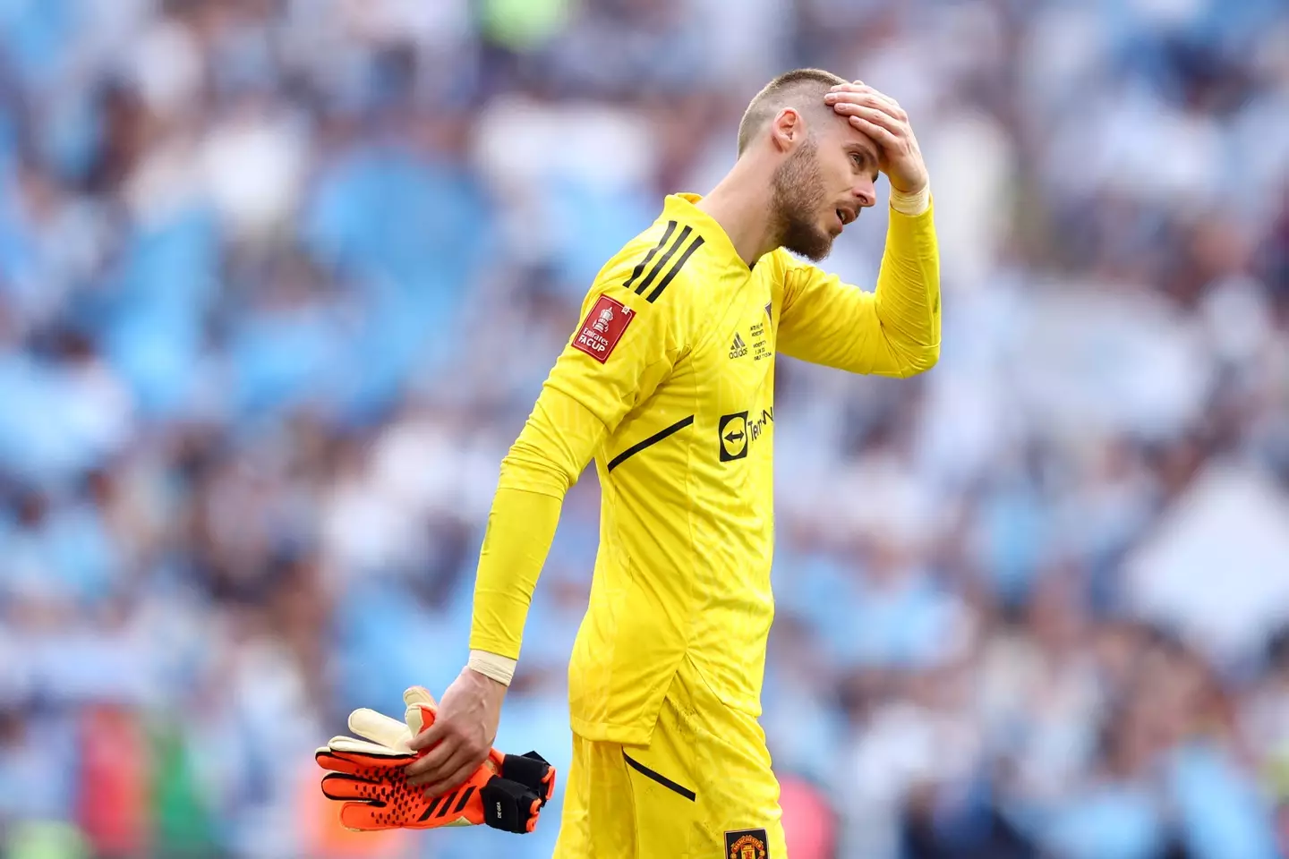 David de Gea cuts a dejected figure during last season's FA Cup final. Image: Getty