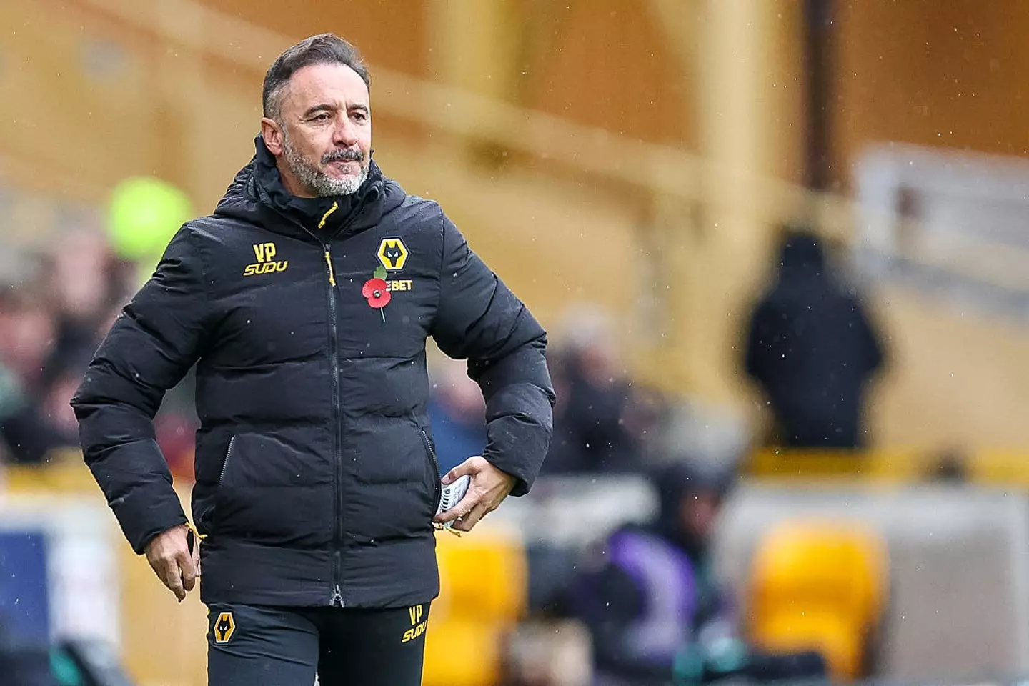 Rodgers could replace Vitor Pereira at Wolves. (Image: Stuart Leggett/MI News/NurPhoto via Getty Images)