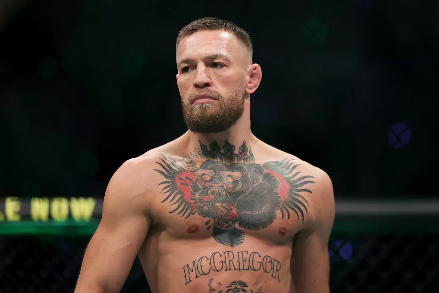 Conor McGregor hasn't fought in the UFC since July 2021. Image: Getty