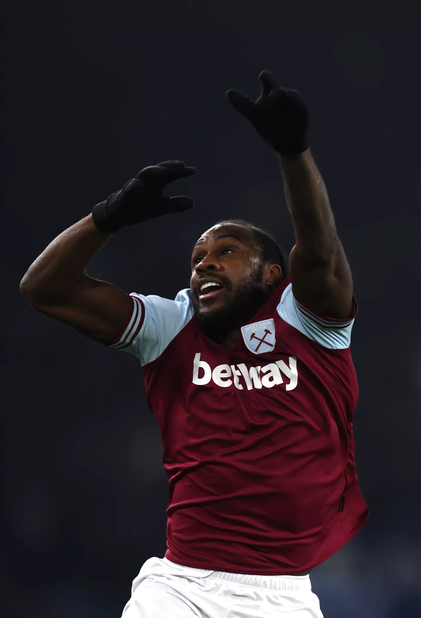 Michail Antonio is unlikely to feature again this season. Image: Getty