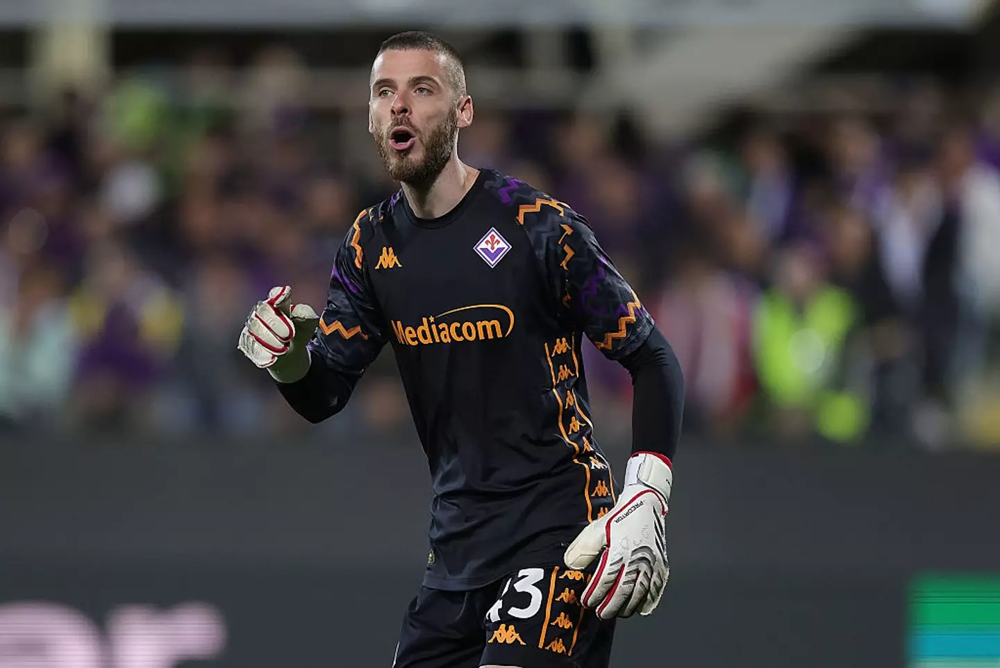 David De Gea in action for Fiorentina (Credit:Getty)