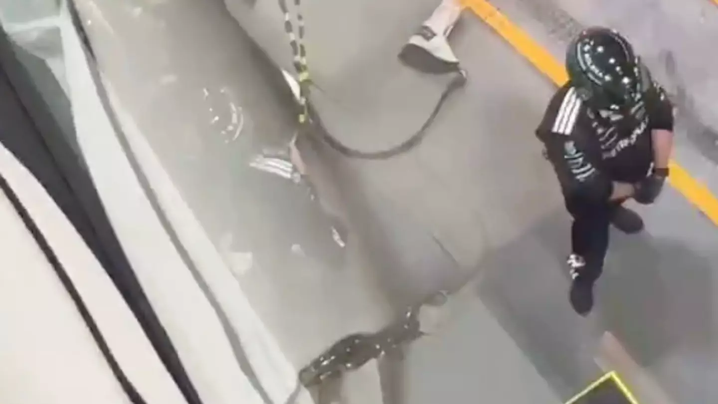 Singapore GP Clip Leaves Fans Thinking Mercedes Worker Could Get Fired