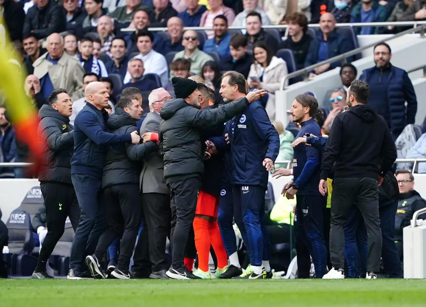 Brighton boss Roberto De Zerbi and Tottenham interim boss Christian Stellini argue during the Premier League clash