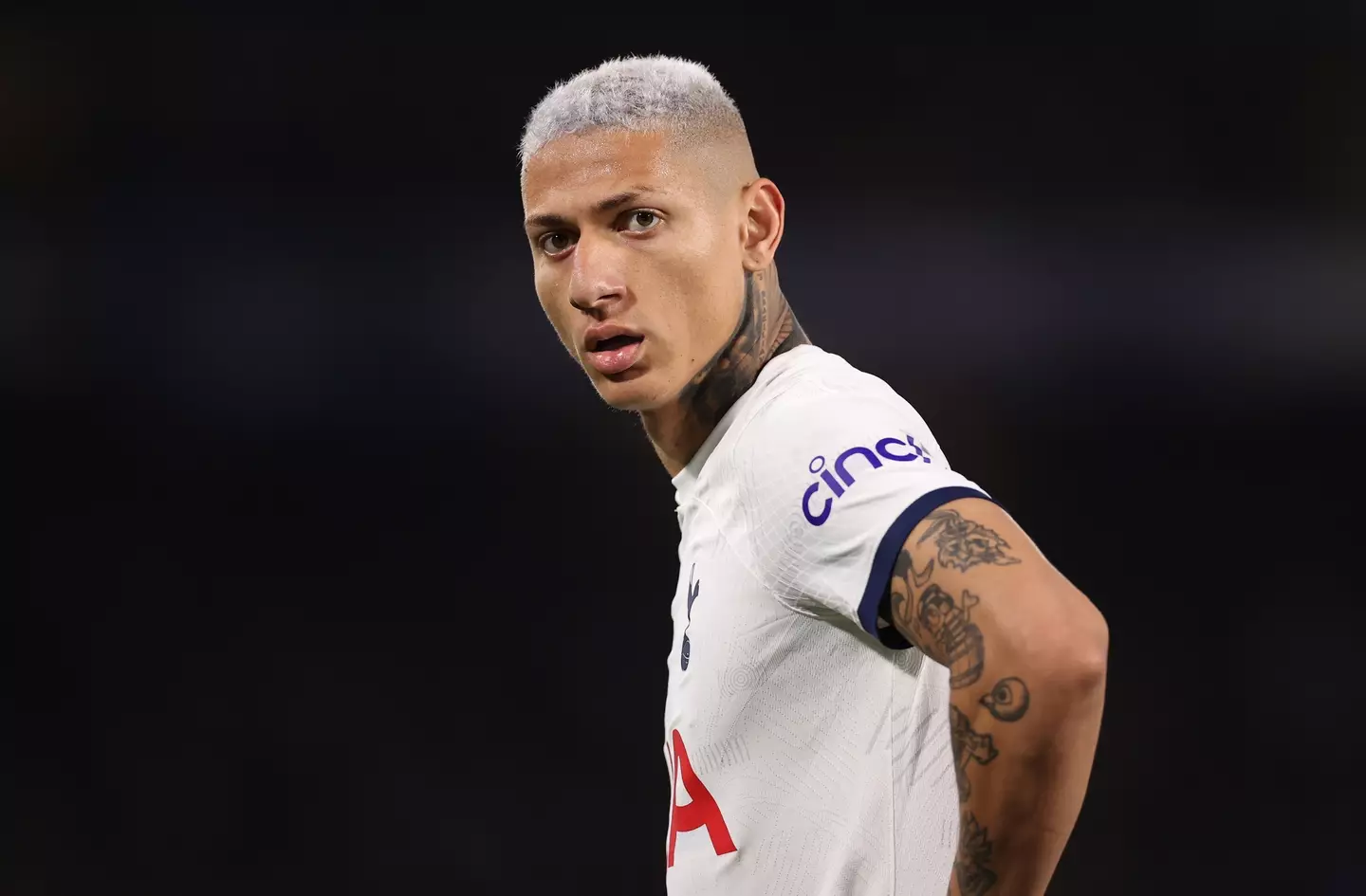 Richarlison has scored 12 goals this season (Getty)