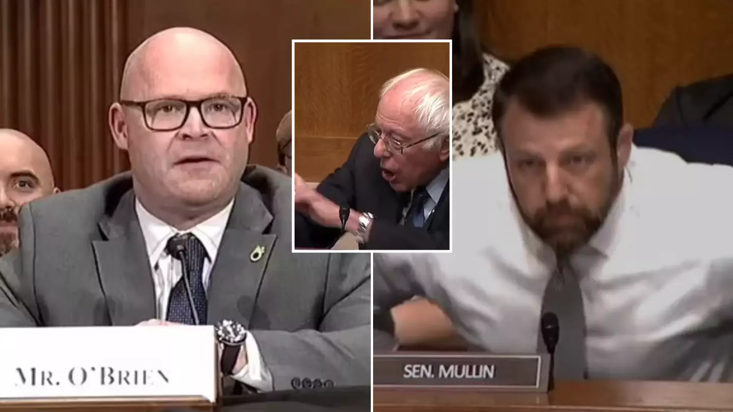 Wild scenes as former MMA fighter-turned-senator tries to start fight in US Senate hearing