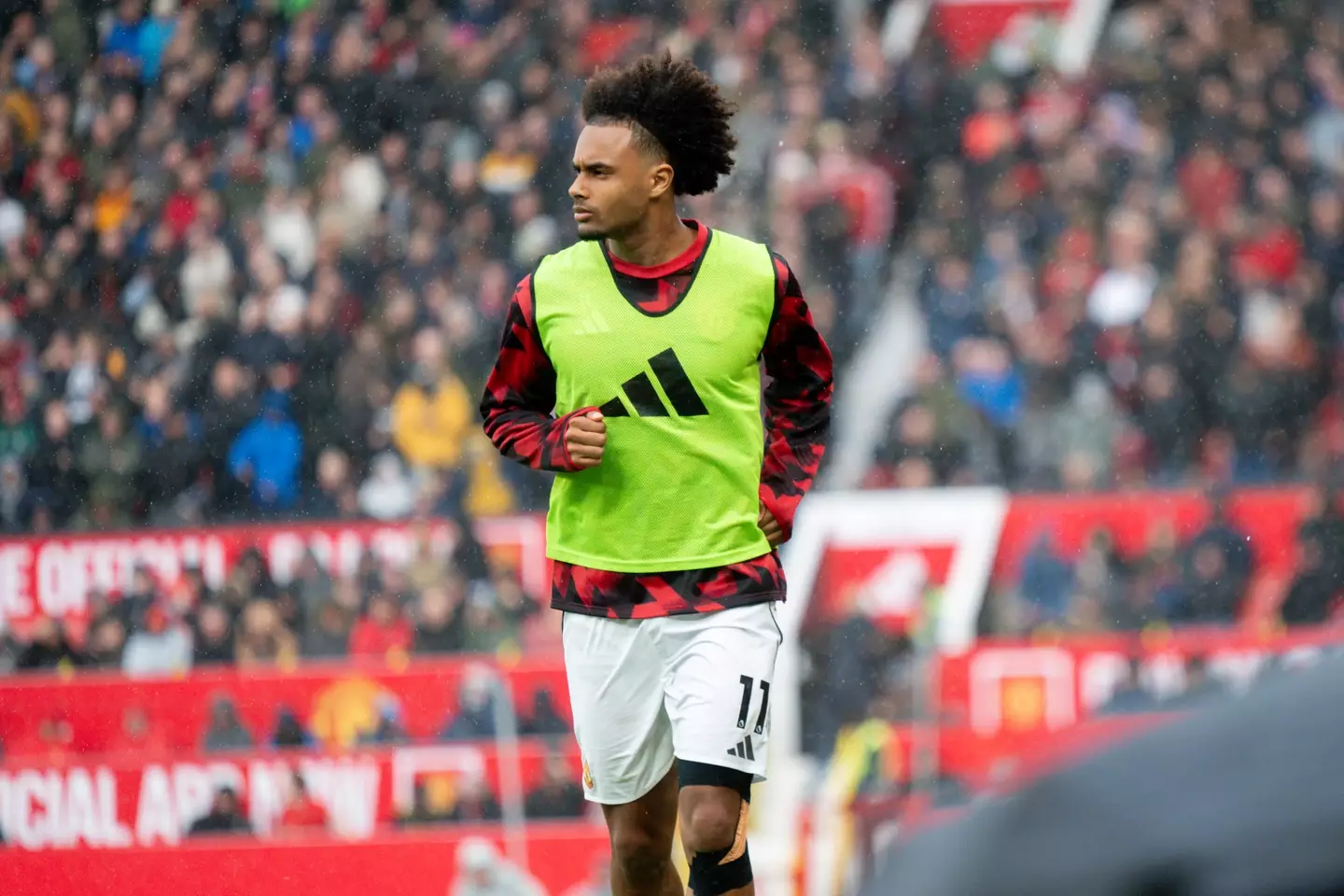 Zirkzee has also found himself out of favour. Image: Getty