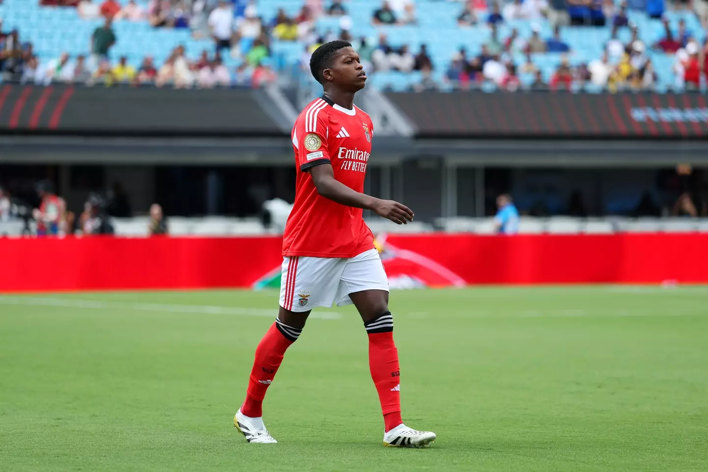 Benfica's Florentino Luis is a top target for Napoli. Image: Getty